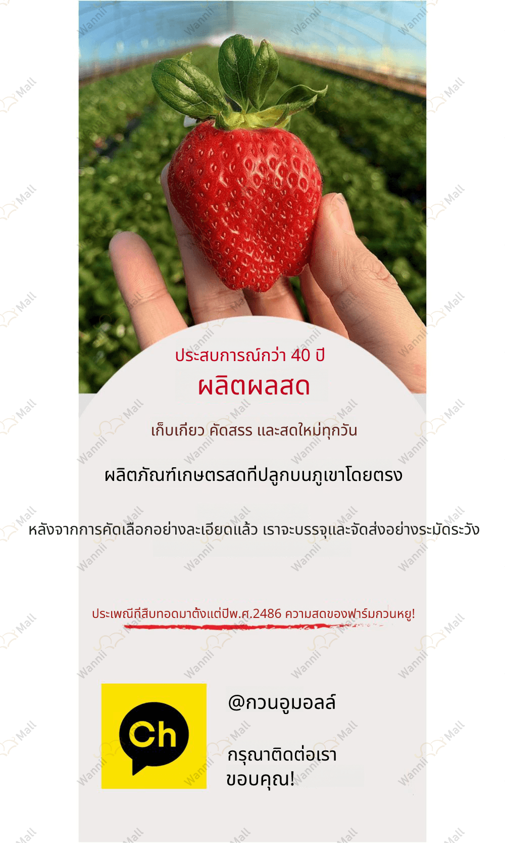 관우 농가 인트로.jpg